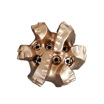 Petroleum Drill Bits of Machinery Parts PDC Rock Drill Bit